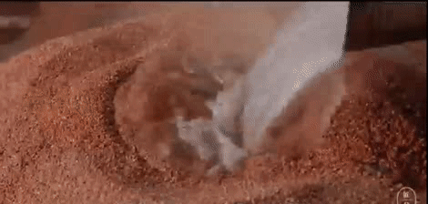 8.gif